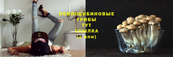 ALPHA-PVP Алексин