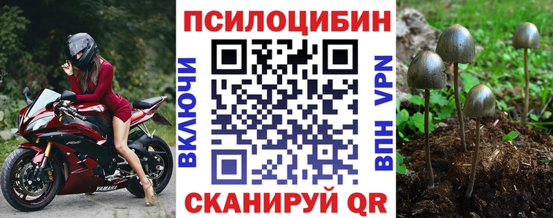 где продают наркотики  Долинск  Галлюциногенные грибы мицелий 
